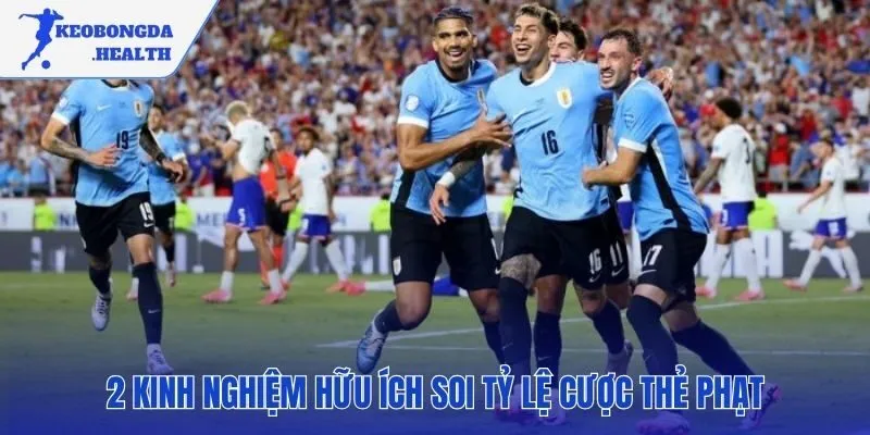 Phân tích đội bóng và trọng tài để dự đoán kèo thẻ phạt