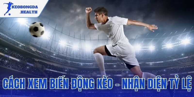 cách xem biến động kèo