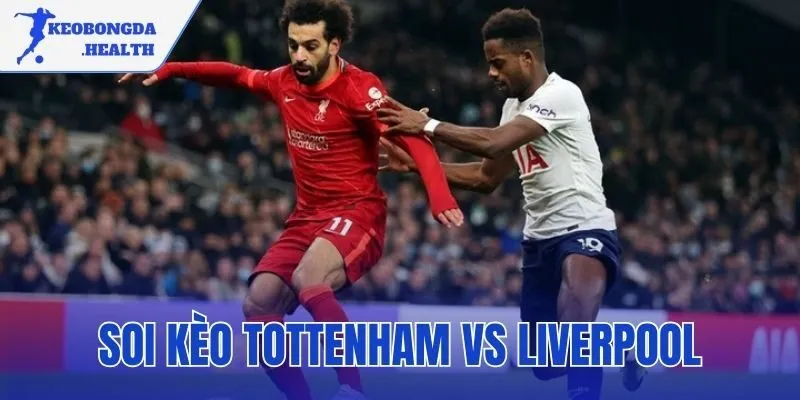 Soi Kèo Tottenham Vs Liverpool